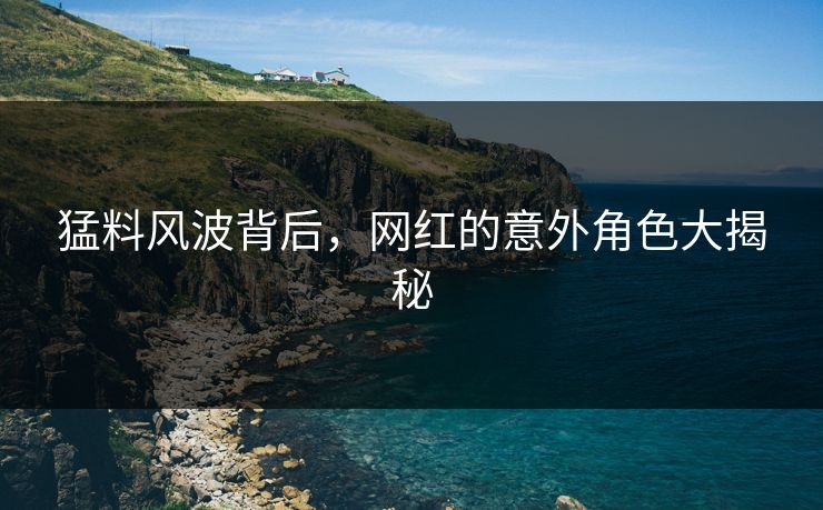 猛料风波背后，网红的意外角色大揭秘  第1张