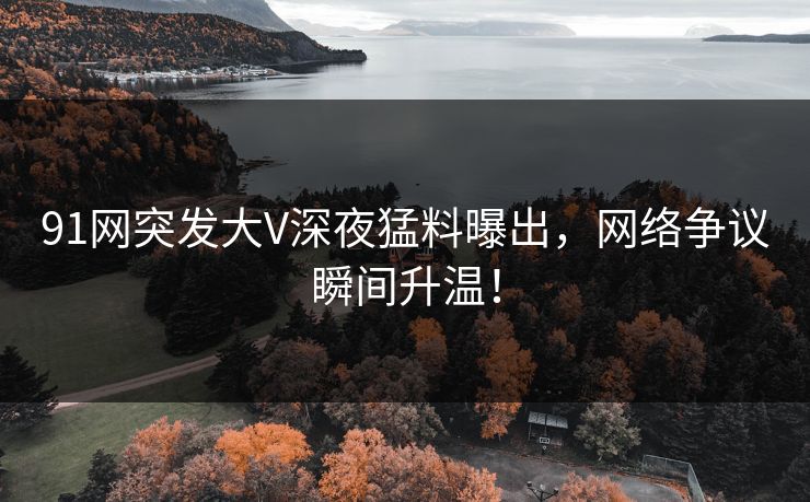 91网突发大V深夜猛料曝出，网络争议瞬间升温！