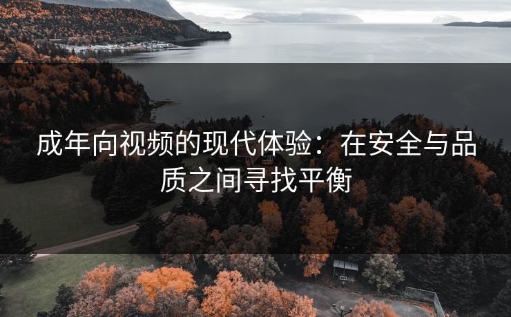 成年向视频的现代体验：在安全与品质之间寻找平衡