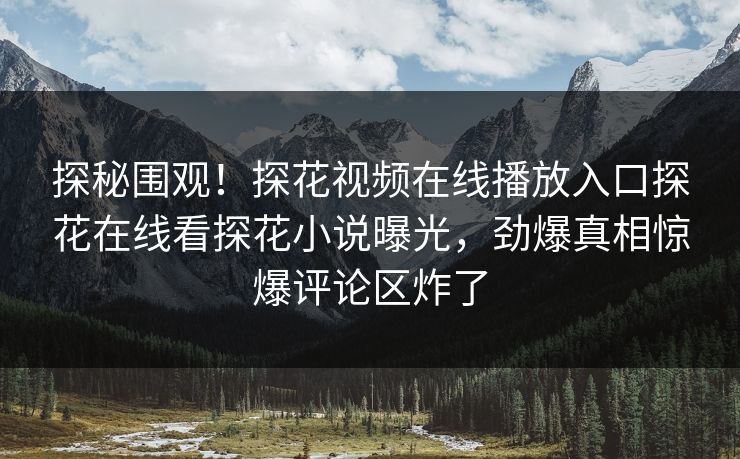 探秘围观！探花视频在线播放入口探花在线看探花小说曝光，劲爆真相惊爆评论区炸了  第1张