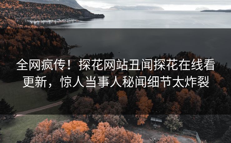 全网疯传！探花网站丑闻探花在线看更新，惊人当事人秘闻细节太炸裂