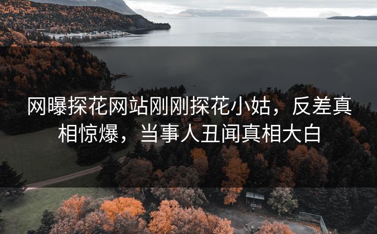 网曝探花网站刚刚探花小姑，反差真相惊爆，当事人丑闻真相大白