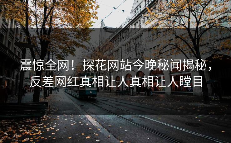 震惊全网！探花网站今晚秘闻揭秘，反差网红真相让人真相让人瞠目