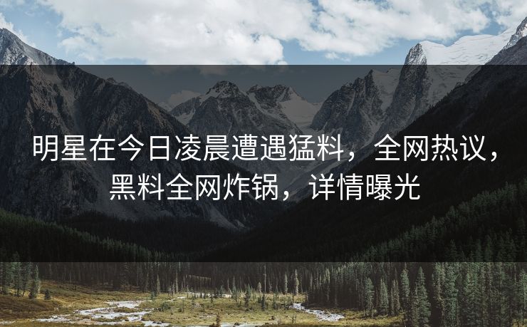 明星在今日凌晨遭遇猛料，全网热议，黑料全网炸锅，详情曝光