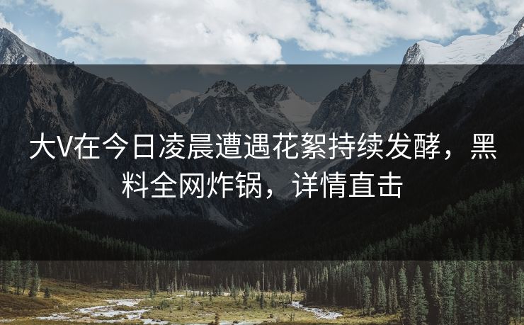 大V在今日凌晨遭遇花絮持续发酵，黑料全网炸锅，详情直击