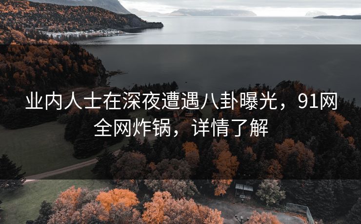 业内人士在深夜遭遇八卦曝光，91网全网炸锅，详情了解