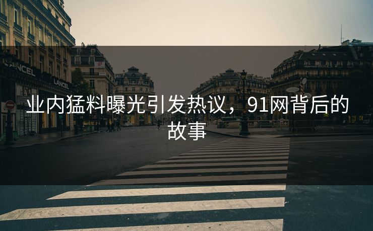 业内猛料曝光引发热议，91网背后的故事  第1张