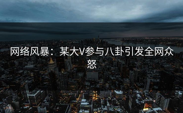 网络风暴：某大V参与八卦引发全网众怒  第1张