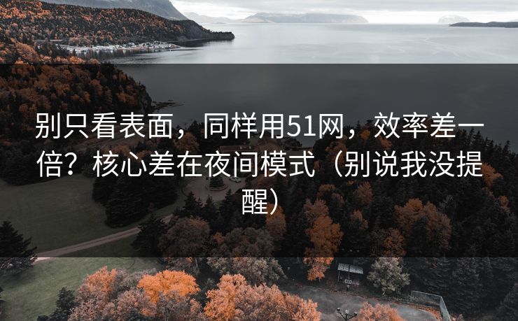 别只看表面,同样用51网,效率差一倍?核心差在夜间模式(别说我没提醒)